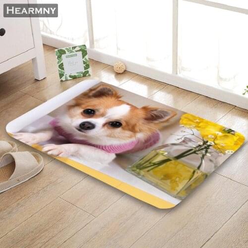 Nice Cute Dog Doormat Outdoor Floor Mat Home Creative Mat Super Soft Absorbent Bathroom Door Entrance Mat 40X60cm,50x80cm