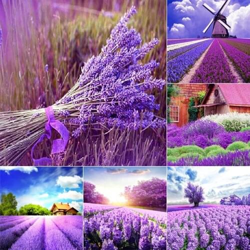 Diy 5D Diamond Painting Lavender Full Drill Embroidery Mosaic Rhinestone Home Art Scenic Picture Decor Cross Stitch Gift Kits