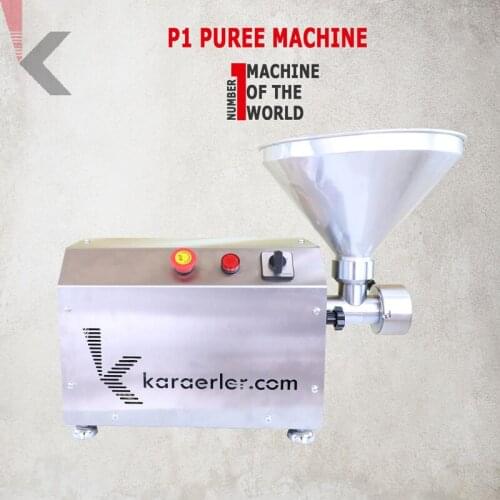 Puree Machine For Cashew Nut P1