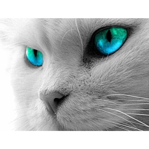 Full 5D Diy Diamond Painting cross stitch pattern 3D Diamond Embroidery Cat Rhinestone Diamond mosaic Painting Decoration GH279