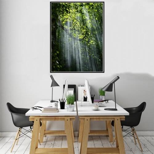 Nature Sunlight Forest Tree Leaves Poster Canvas Print Painting Wall Art Living Room Home Decoration