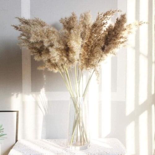 10/30/50PCS Pampas Grass Dried Flowers Bunch Brown Bouquet Boho Decoration Home Bedroom Living Room Christmas Decorations