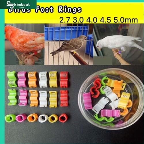 20 Pcs Inner 2.7/ 3/4/4.5/5mm Canary Clip Rings Pigeon Parrot Leg Rings Small Birds Foot Rings With Number