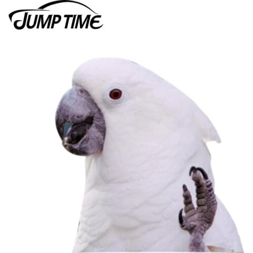 Jump Time 13cm x 12.5cm Umbrella Cockatoo window sticker car decal Vinyl Decal Car Window Laptop Bumper Car Stickers