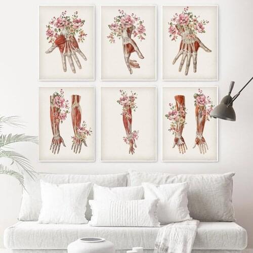 Human Anatomy Artwork Medical Wall Picture Muscle Arm Hand Vintage Poster Nordic Canvas Print Education Painting Modern Decor