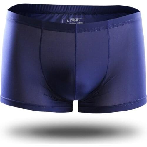 Sexy Gay Underwear Men Boxers Ice Silk Transparent Penis Mens Panties Solid Breathable Pouch Underpants Male Shorts Plus Size