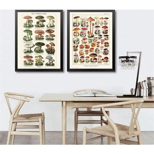 Mushroom Illustration Vintage Posters and Prints Botanical Science Wall Art Canvas Painting Wall Pictures Home Room Decor