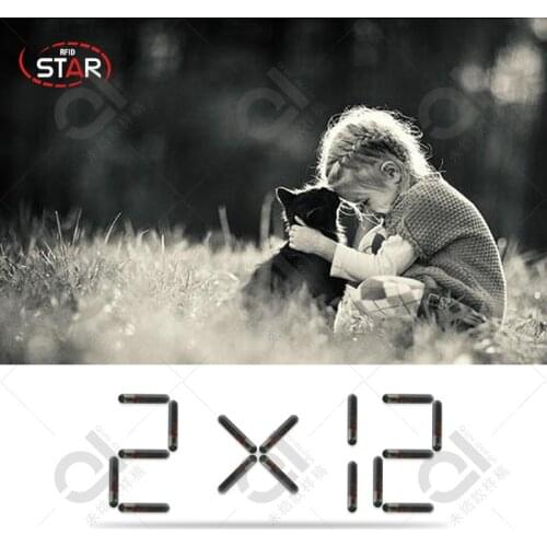 X 10 NFC Chip 2.12*12mm Ntag 216 RFID tag animal implantable microchip glass transponder with HF 13.56mhz