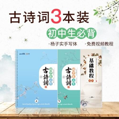 New Learn To Write Tang Poetry and Song Ci Grooved Exercise Book Copybook Reusable Handwritten Exercise Calligraphy Books PRICE