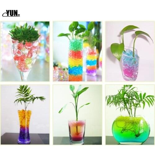 C. 1000pcs Hydrogel Pearl Shaped Green Crystal Soil Water Beads Mud Ball Wedding Growing Bulbs YQ001