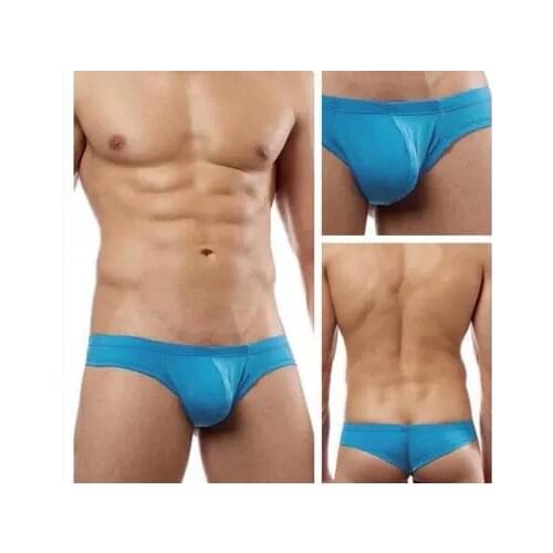 Armored cavalry Mens Silk Briefs