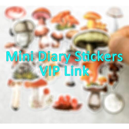 Mini Diary Style VIP Custom Order Link Cute Fun Scrapbook Stationery Decals Stickers Pack