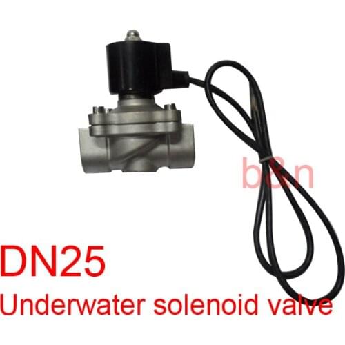 DN25 1'' 2A-25 stainless steel ss304 waterproof Underwater solenoid valve running spring / fountain valve AC220V,DC12V,DC24V