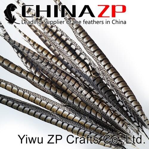 CHINAZP Feather Retail Sale Extra Money From 36 to 40 inch Good Quality Natural Lady Amherst Pheasant Tail Feathers