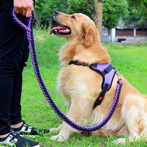 Pet Collar Large Dog Harnesses Leash Set Traction Rope Walk The Dog P Chain Pet Lead Harness Vest for Medium Large Dogs