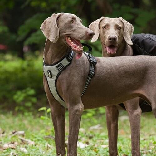 Pet Dog Harness Large Small Pitbull Reflective Safety Harness For Dogs Car Harness Dog Sport No Pull Vest Husky