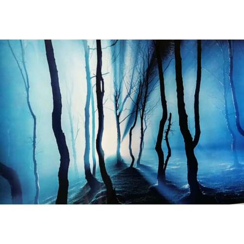 8019 19.3" x 48" Double Sided Aquarium Decoration Rock / Night Woods Fish Tank Background Picture Poster