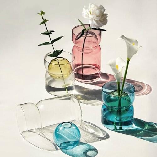 Simple modern transparent glass bottle decoration living room flower arrangement dried flower color hydroponic plant vase WJ814