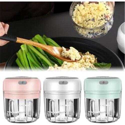 100/250ml Electric Food Crusher Mini Garlic Press Vegetable Chopper For Kitchen Garlic Ginger Chili Crushed Kitchen Gadget