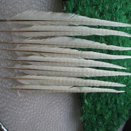 Wholesale 50 / lot beautiful white pheasant feathers 20-22 inches / 50-55 cm free shipping