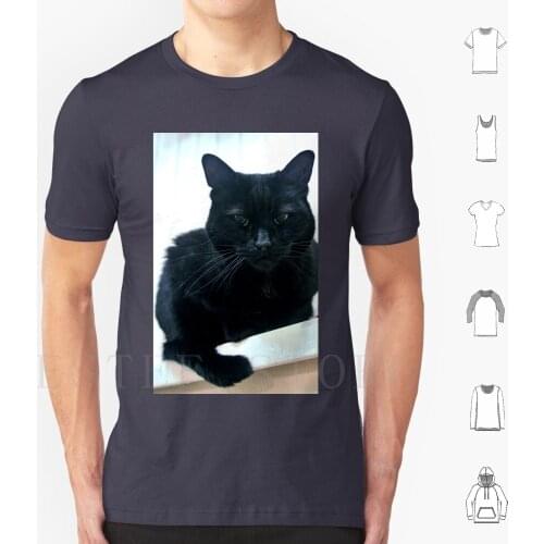 Suspicious Minds T Shirt DIY Big Size 100% Cotton Biddy Cat Cats Pet Pets Animal Animals