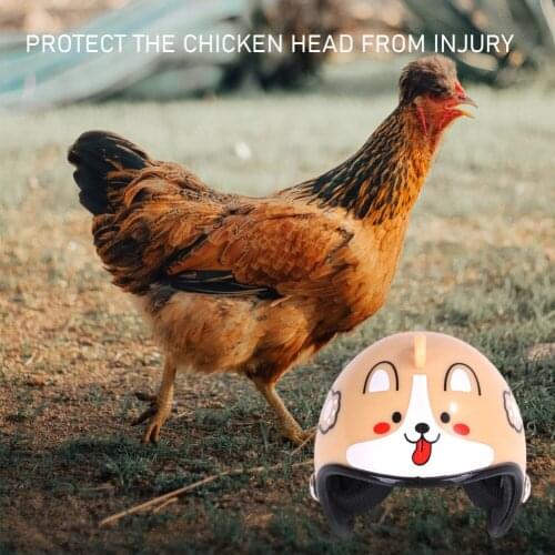 Pet Helmet Hens Protective Hat Headgear Chicken Head Protector Helmet Cap Bird Funny Gear Sun Hat Costumes Accessories