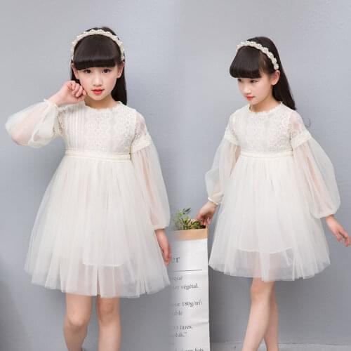 Girls Toddler Long Sleeve Dress Lace Embroidered Little Flower Dresses For Girls Summer Birthday Present Party Dress Costume