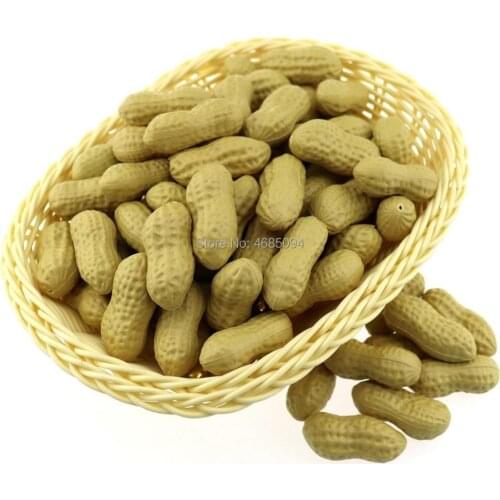 Gresorth 50pcs Artificial Lifelike Simulation Peanut Fake Food Home Kitchen Toy Decoration Photography Props
