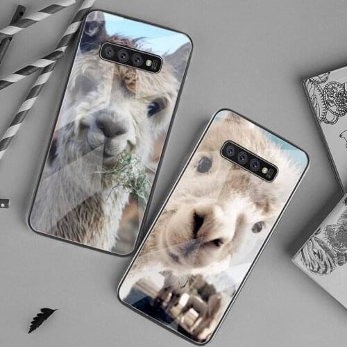 Lama Llama Alpacas Animal Phone Case Tempered Glass For Samsung S20 Plus S7 S8 S9 S10 Plus Note 8 9 10 Plus