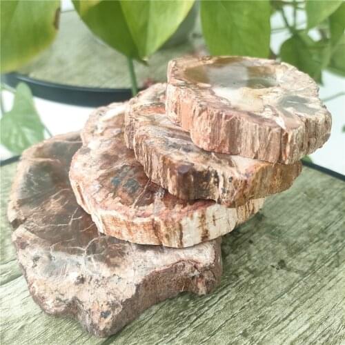 Hot Natural Petrified Wood Fossil Crystal Polished Slice Mineral Specimen Wood Fossil Healing Gifts