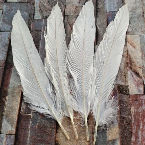Wholesale 100pcs Beautiful 35-40cm/14-16inches Natural Pheasant Feathers Craft Making Party Headdress Hats Decoration