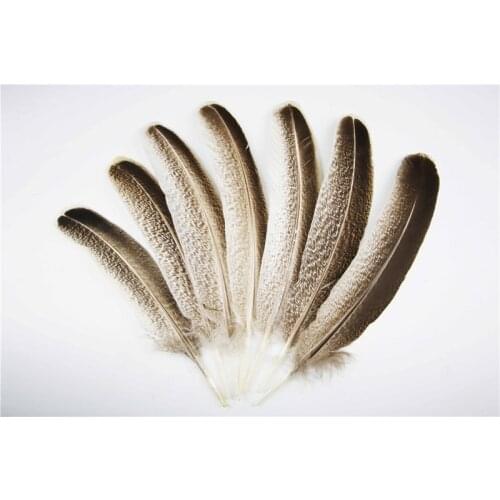10pcs 100% natural coffee turkey feather 25-30cm/10-12inch Beautiful for Diy carnival costume mask headdress crafts