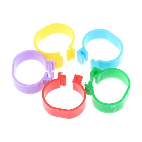 20Pcs Inside Diameter 2.0 Cm Chicken Ring Hen Pigeon Leg Band Poultry Dove Birds Quail Goose Chicks Duck Parrot Clip Rings