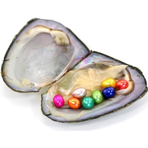 5pcs/lot New Rice Pearls Mini Monster 8 Vibrant Colored Oval Pearls in Freshwater Oyster Shell Mix Color Pearl Mega Mussel FP431