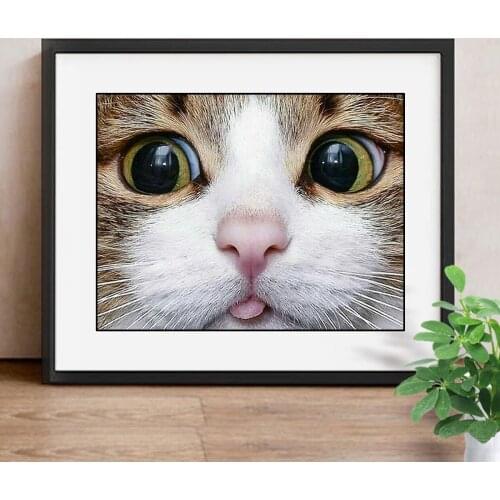 Full Drill Square 5D DIY Diamond Painting Cat Diamond Embroidery Animal Picture Of Rhinestone Decor Home