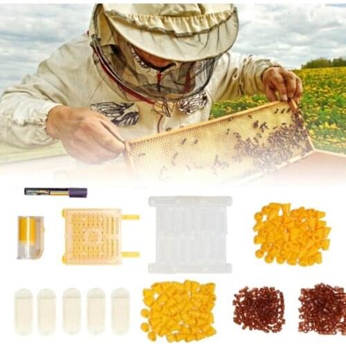 Plastic Beekeeping Queen Rearing Kit Cell Cups Catcher Box Roller Cages for Bee Breeding Beekeeper Beehive Tools Apiculture