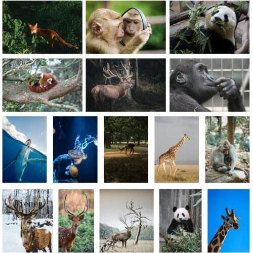 Wild Animals Diamond Painting Wall Art Picture Cross Stitch 5D Diy Embroidery Square Round Diamond Home Zoo Decoration Handwork