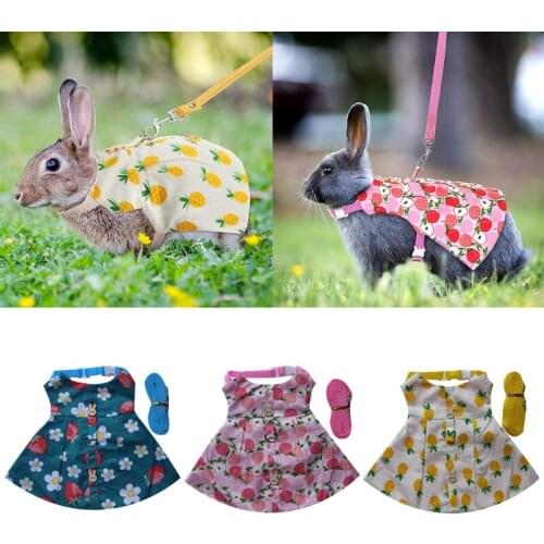 Rabbit Dress Small Animal Outdoor Walking Harness Vest and Leash Set Cute Clothes Chest Strap for Puppy Kitten 2 Sizes