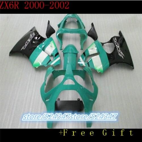 Hot slames Fairing kit For KAWASAKI Ninja ZX6R 00-02 ZX-6R 2000-2002 6R 00 02 ZX 6R 2000 2002 00 01 02 Fairing