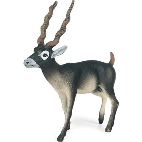 Simulation Antelope Figure Collectible Toys Wild Animal Action Figures Kids Cognitive Toys