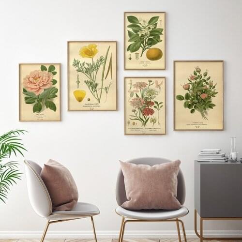Vintage Plant Poster Botanical Flower Study Living Room Hanging Painting Tree Peony Rose Orange Picture Aesthetic Decor Canvas
