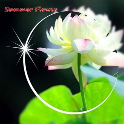 Chashma Brand Lenses 1.61 Index Aspheric Clear Lens MR-8 Strong Anti Reflective Optical Glasses Prescription Lenses for Eyes