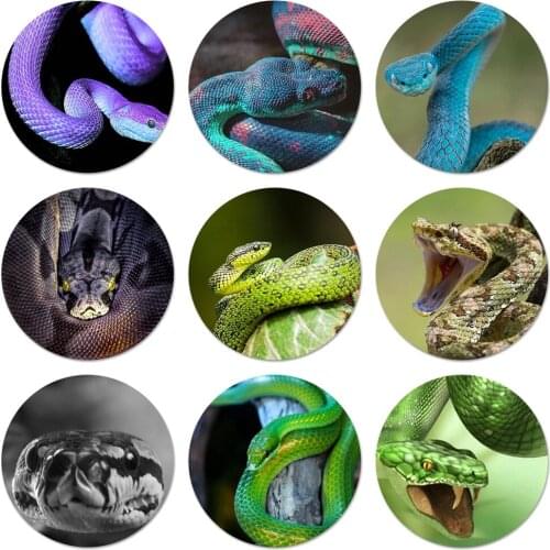 58mm Animal Leather Snake Scales Icons Pins Badge Decoration Brooches Metal Badges For Clothes Backpack Decoration