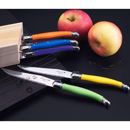 Free shipping 6pcs/set 9'' Laguiole Style Stainless Steak Knife w/ Rainbow Handle Put in Wood Holder Kitchen Cutlery Tableware