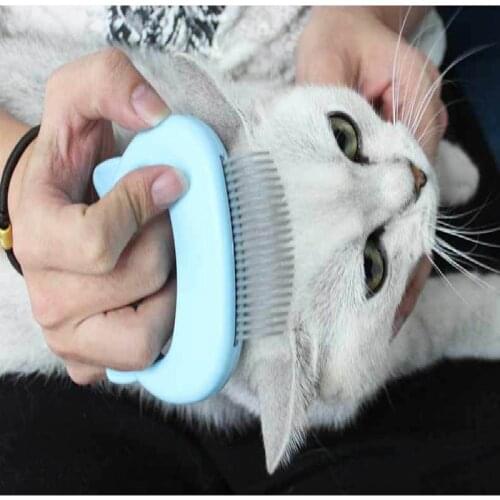 2021 New Multicolor pet cat and dog massage brush with shell-shaped handle pet grooming massage tool to remove loose hair