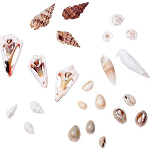 Jewelry DIY BeadsTrumpet Shell Beads Dyed Mixed Style Mixed Color 16~45x8~27x8~27mm Hole: 1~2mm