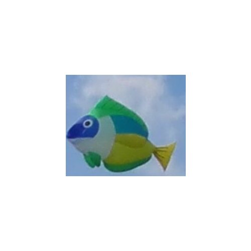 Sport large beautiful 3D big Jack kite 5m goldfish fun soft kiting kites nylon ripstop fishing mermaid software kites animal