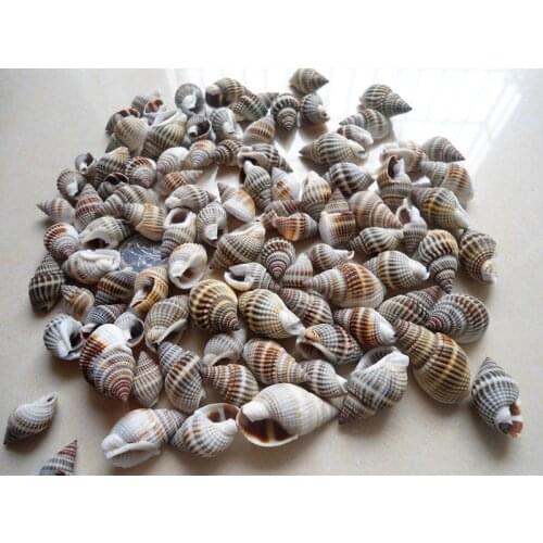 HappyKiss 10pcs Millet screw Mediterranean style aquarium decorations Conch shells DIY material mini textured screw bottles