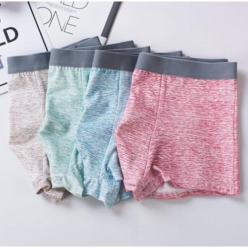 Men Underwear 2021 Cotton Boxers Comfortable Boxer Briefs Shorts Oversized Underpants Solid Seamless Underwear Boxers L-XXXL