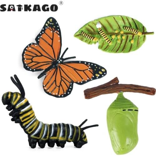 Simulation Life Cycle Figurine of a Monarch Butterfly Growth Cycle Insect Animals Action Figures Educational Biology Science Toy
